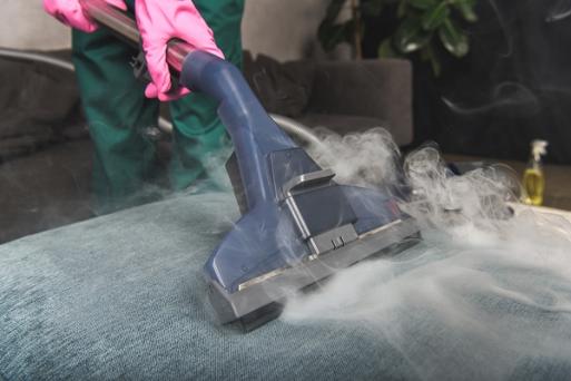 furniture-carpet-cleaning experts FL33801