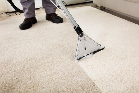 carpet-cleaning worker in lakeland-fl33801